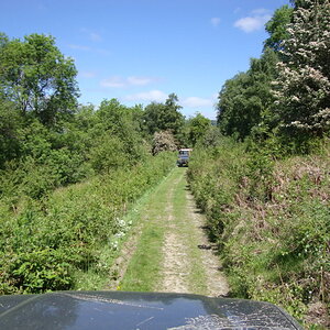 DSC01011.jpg