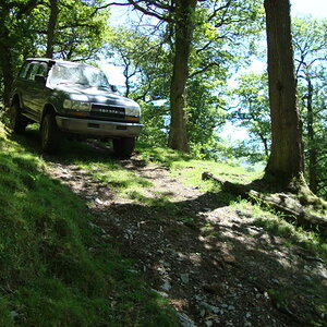DSC01026.jpg