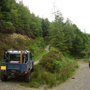 DSC01117.jpg