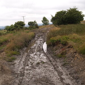 P1013521.jpg