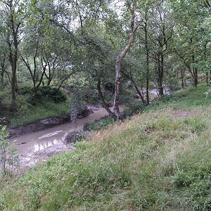 P1013561.jpg