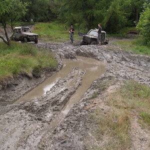 P1013559.jpg