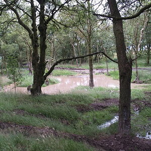 P1013526.jpg