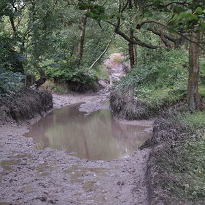 P1013525.jpg