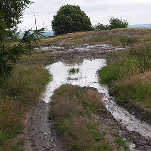 P1013523.jpg