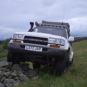 IMGP4107.jpg
