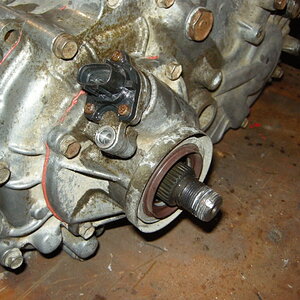 DSCN4790.jpg