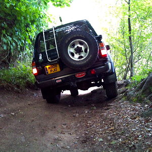 DSC_0010.jpg