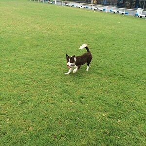 IMG_9782_zps5poosh4g.jpg