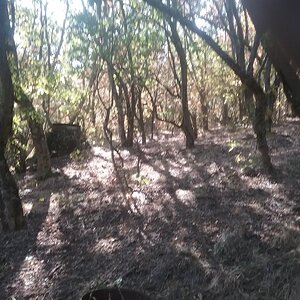 20191024_141803