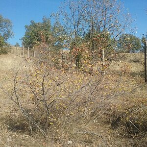 20191024_142925