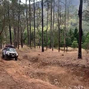 VID-20201004-WA0004.mp4