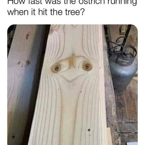 1623834929264.png