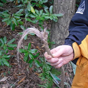 SDC10259.jpg