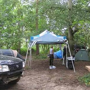 IMG_4516.jpg