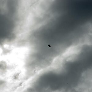 RAF_Leuchars068.jpg