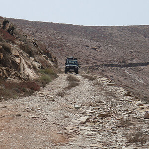 1009143736_Xj9cv-L.jpg