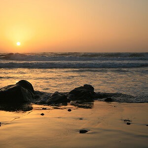 1009165690_EbEE5-L.jpg