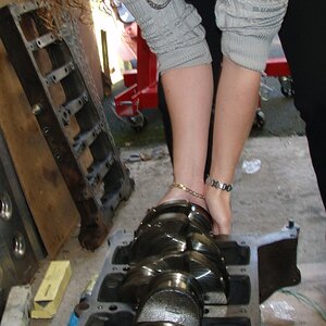 1090118010_rwM36-O.jpg