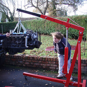 1102138628_mGR5D-L.jpg