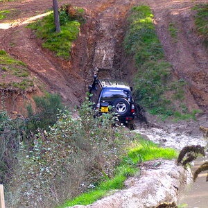 PICT6319-1.jpg
