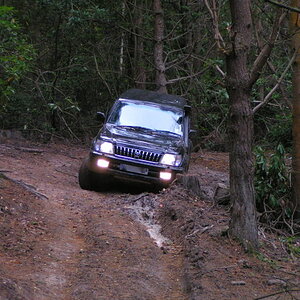 PICT6338-1.jpg