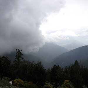 IMG_2028.JPG