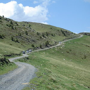 DSC02952.jpg