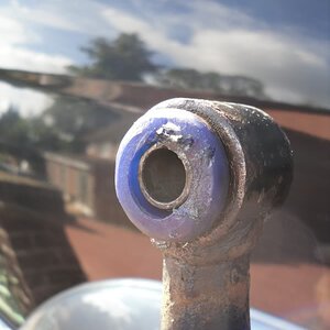 SDC10525.jpg