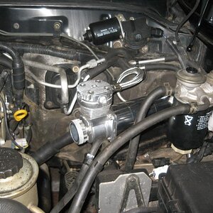 IMG_0563_zps95fe71f4.jpg