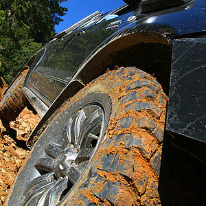 hilux02.jpg