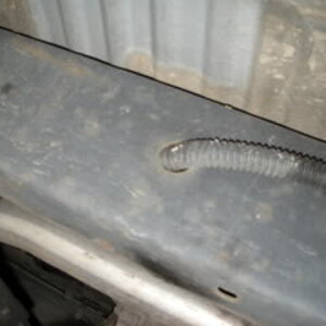 DSCN0826.jpg