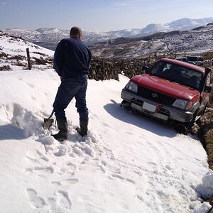 IMG_4426_zps2cc092be.jpg