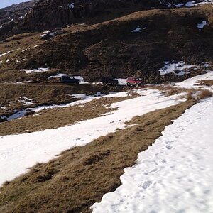 IMG_4447_zps779c3405.jpg