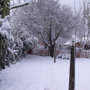 DSCF0706.jpg