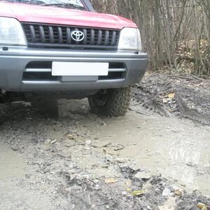 PA290769.jpg