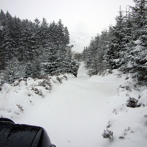 IMG_1689.JPG