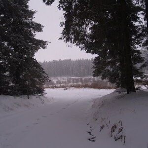 P1013799.jpg