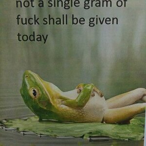 Notasinglegramofshallbegiventoday.jpg