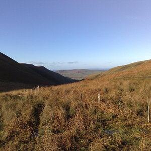 080120111261.jpg