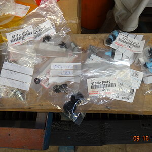 DSC01839.jpg