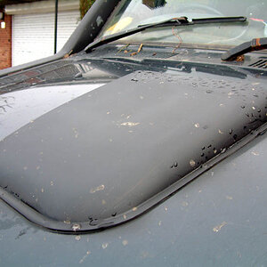 DSCF0016.JPG