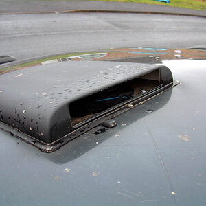 DSCF0017.JPG