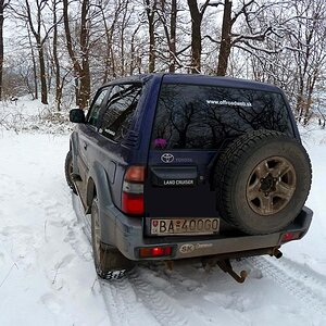 P1030392.jpg