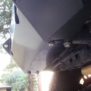 Bumper20.jpg
