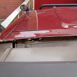 DSCF1103-1.jpg