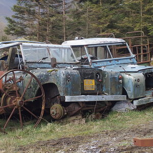 DSC00258.jpg