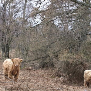 DSCF0472.jpg