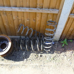 P1000316.jpg
