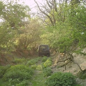PICT0114.jpg